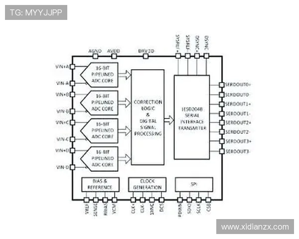 ViperADC全新架构解析与高精度模数转换技术创新研究