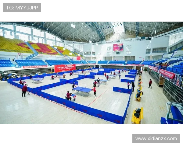 乒乓球运动的魅力与发展趋势探究及其对全民健身的积极影响