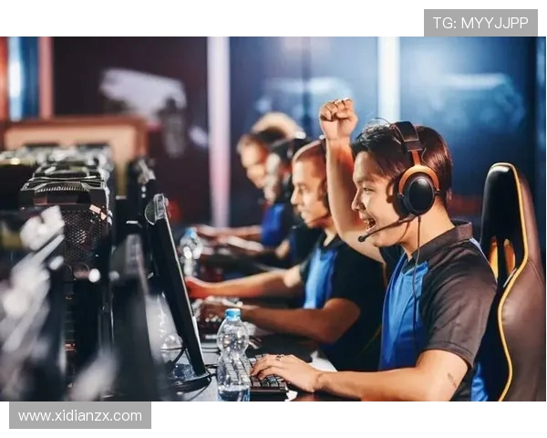 探究新时代背景下电竞职业联赛的产业发展路径与青年文化融合机制 探究新时代背景下电竞职业联赛的产业发展路径与青年文化融合机制