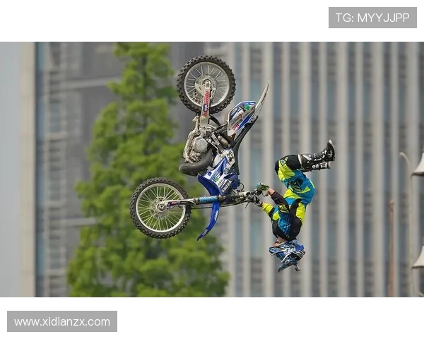 上海极限运动队战术解析与对比研究全面解读