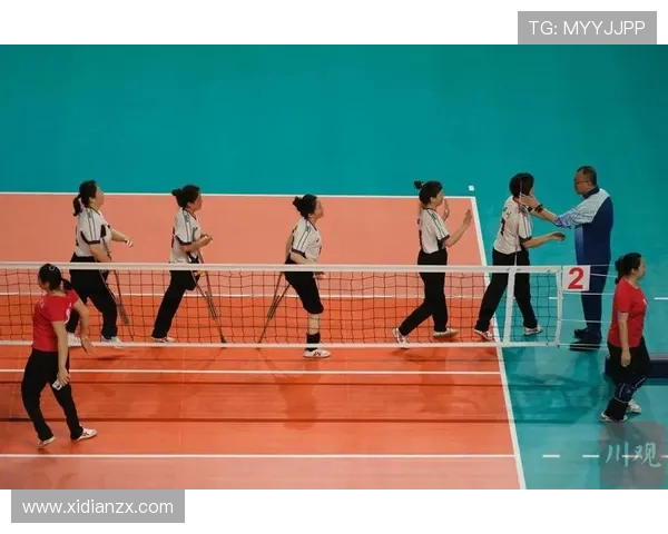 南京排球队反击战术解析与实战应用探讨 南京排球队反击战术解析与实战应用探讨