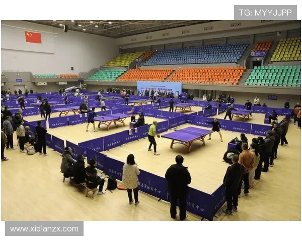 杭州乒乓球队比赛经验变革引发热议助力运动发展新篇章 杭州乒乓球队比赛经验变革引发热议助力运动发展新篇章