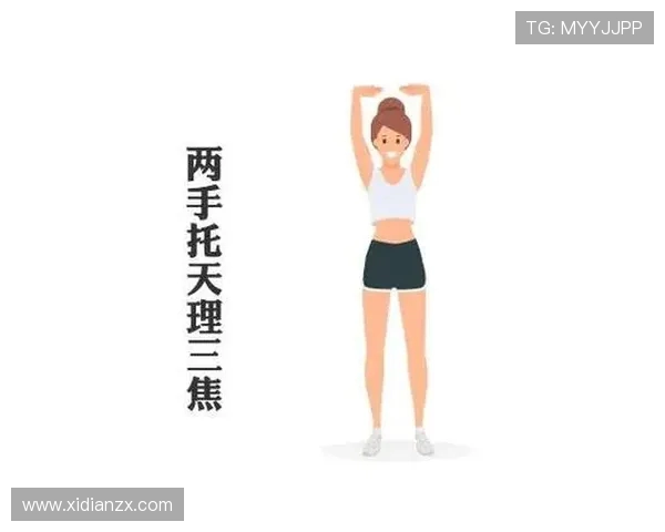 探索全方位运动健身方法提升身体素质与健康生活方式的科学路径